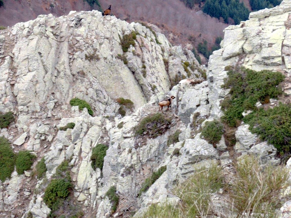 10255643_1007103266020877_3019617705444491670_o