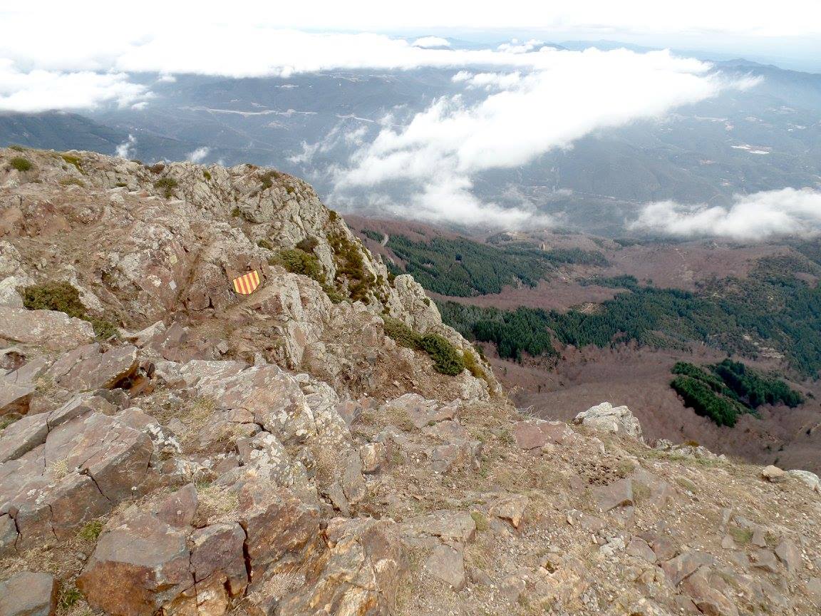 12489415_1007103199354217_3459697614890881884_o