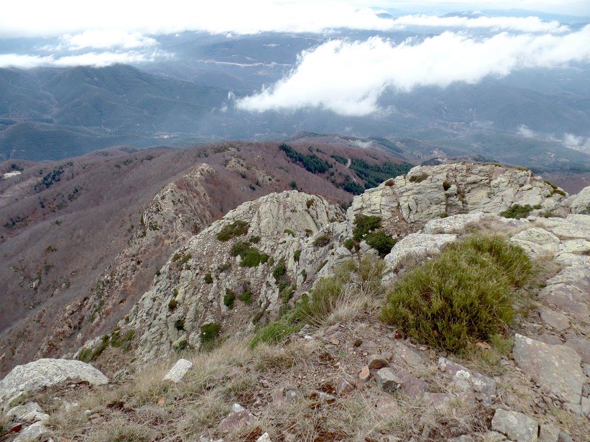 12493616_1007103232687547_2818659397108220059_o