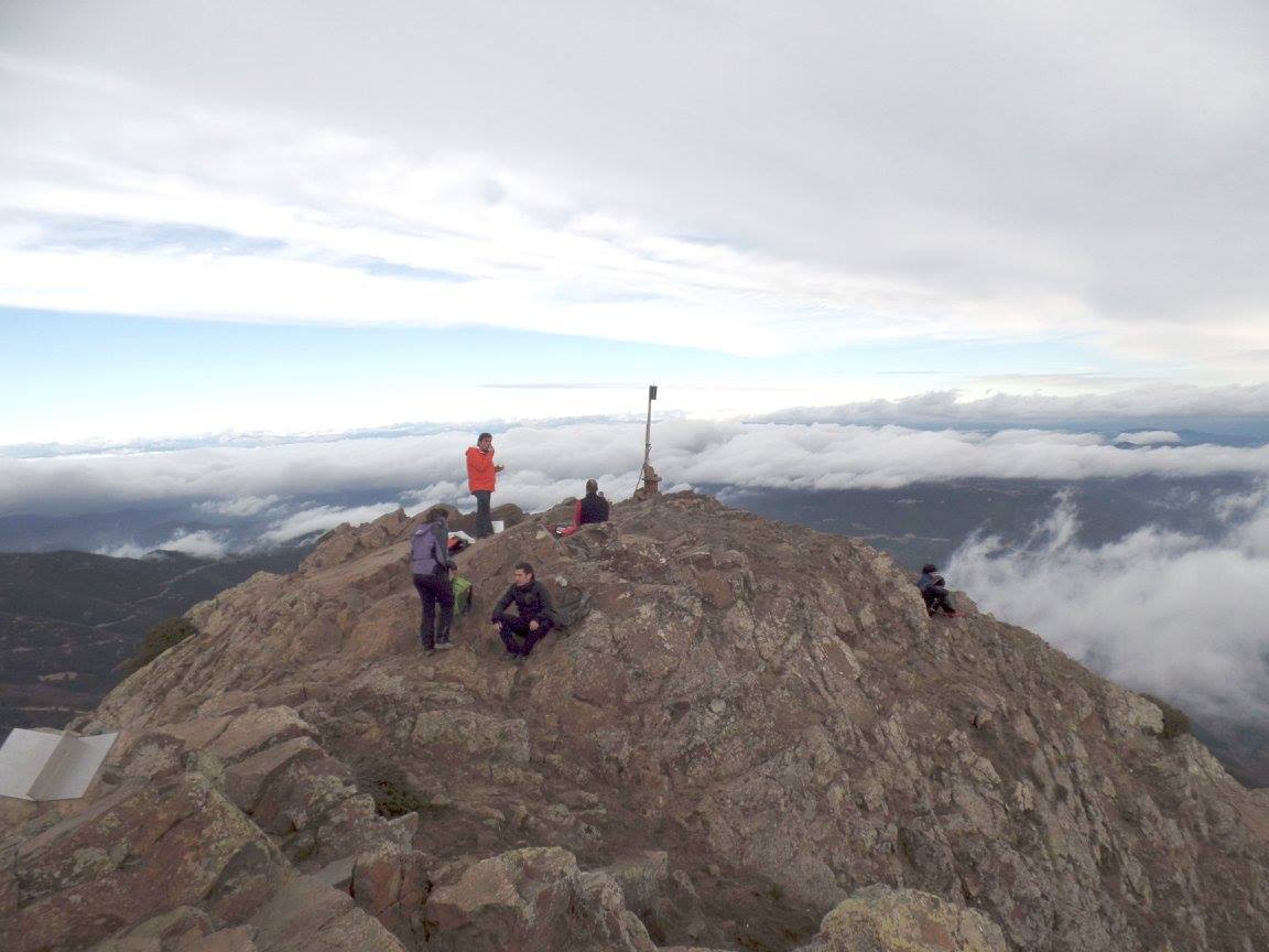 1293075_1007103179354219_4756061736762729003_o