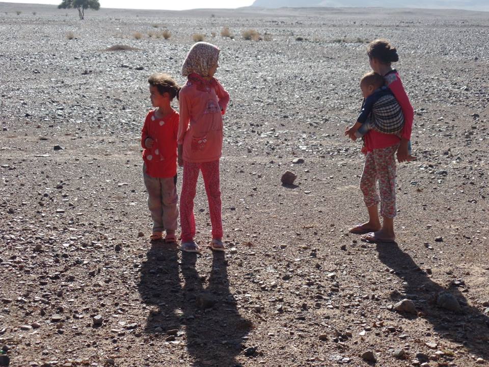 14568044_1203746309689904_2828240723611866792_n