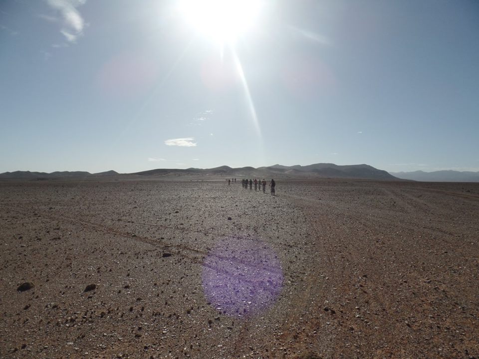 14572813_1203745366356665_7596596422970411651_n