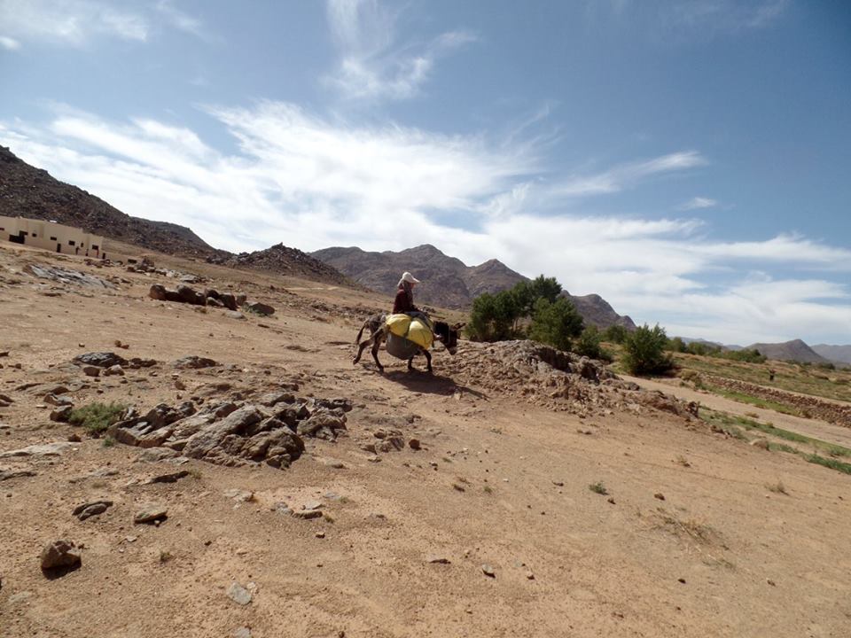 14591585_1203745629689972_6343902859224729424_n