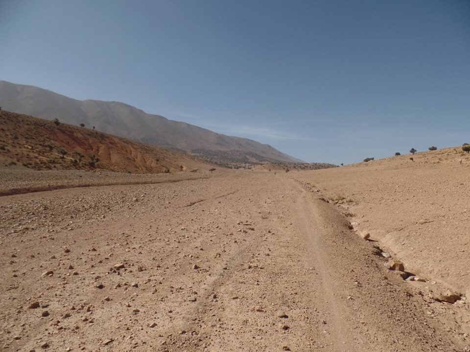 14632881_1203743936356808_1938188813573893805_n