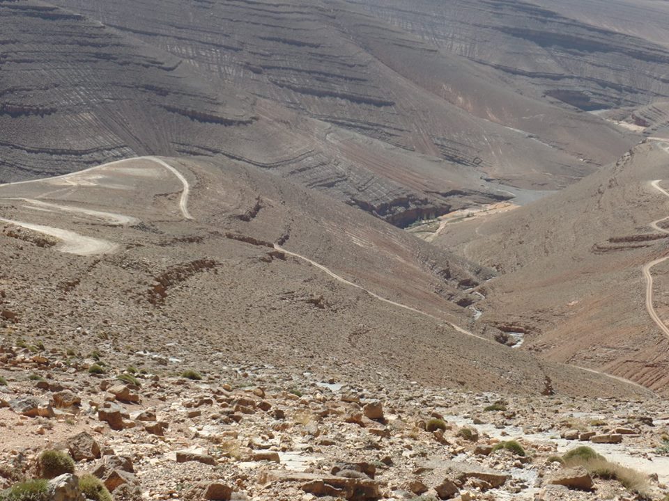 14657264_1203744879690047_3493250107087780394_n