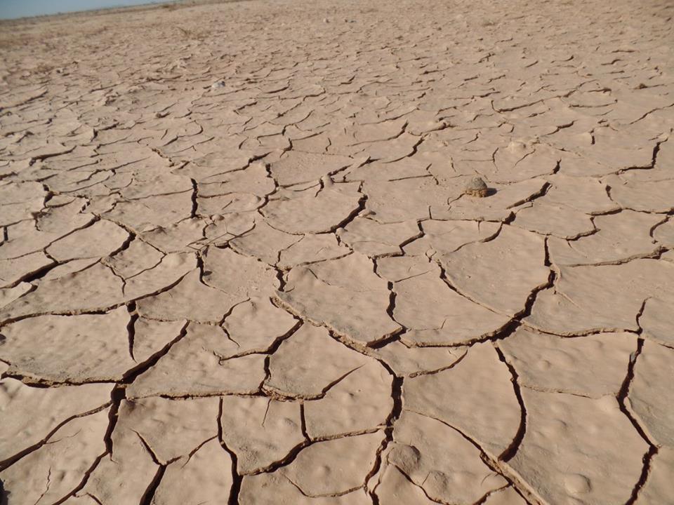 14666173_1203747476356454_167296279606027423_n