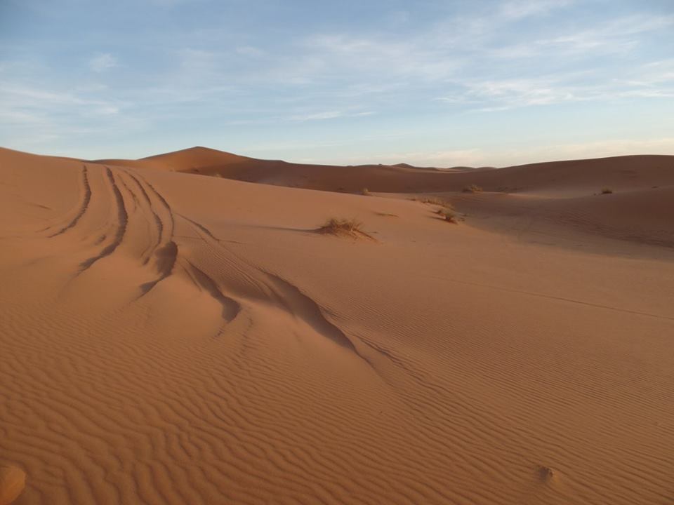 14690834_1203747096356492_8683127517309349749_n