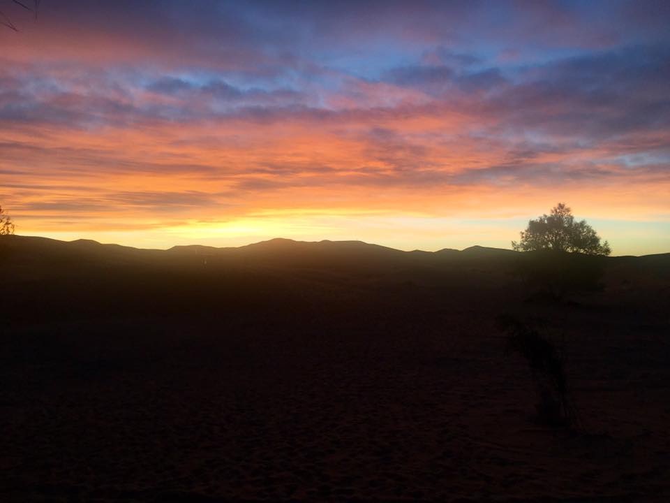 14695319_1203764323021436_5475079735041659063_n