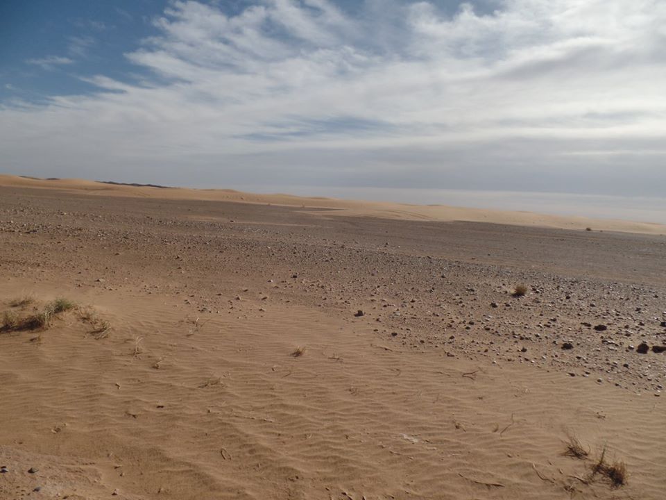 14716251_1203747373023131_7697350898313176596_n