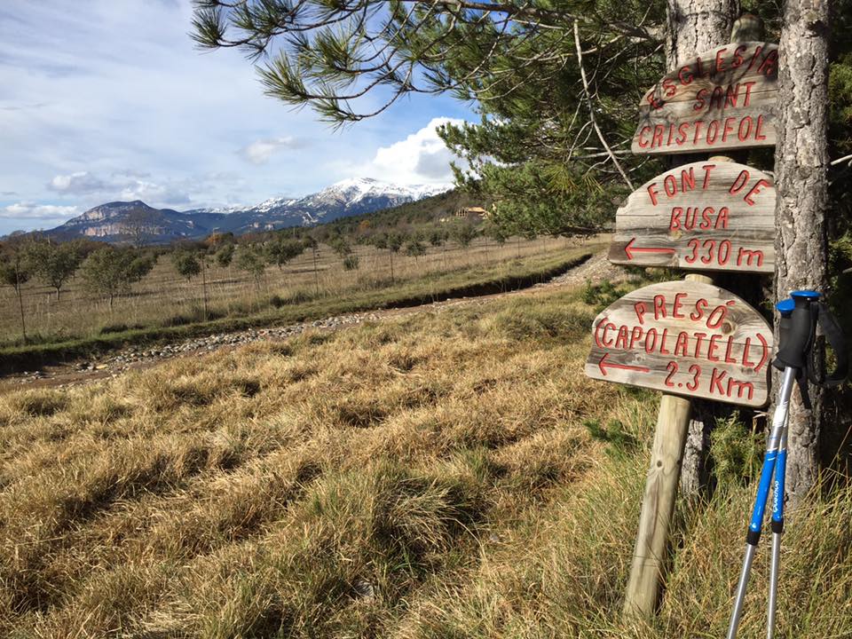 15181392_1228276147238123_2582014877271460822_n