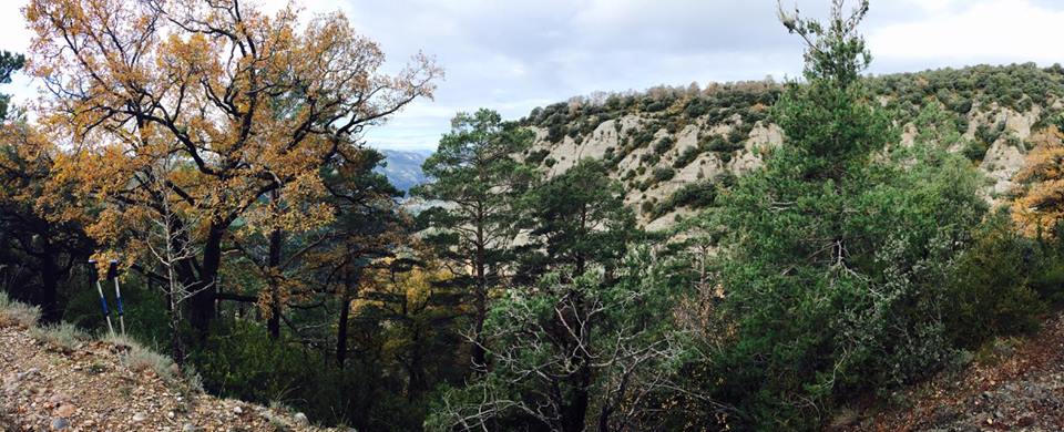 15202486_1228276057238132_1084920613634149761_n