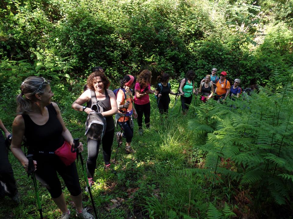 13240781_1090115234386346_5862226148113534543_n