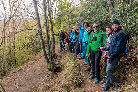 17103275_163474147495349_3265805584669105919_n