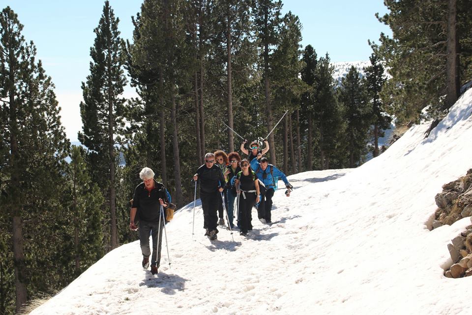 17361945_431629793839120_5842762348459892308_n