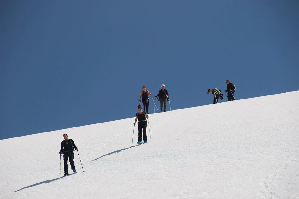 17362368_431630827172350_3749116095031700154_n