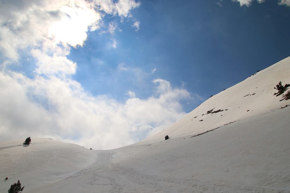 17362784_431631120505654_5532278197451049733_n