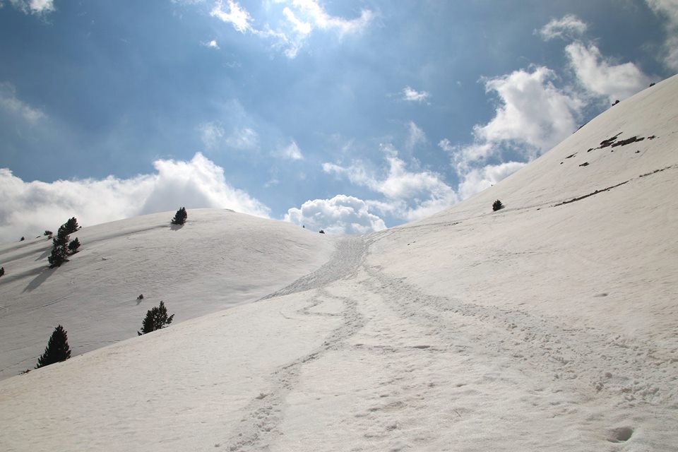 17362824_431631137172319_8996155704694201721_n