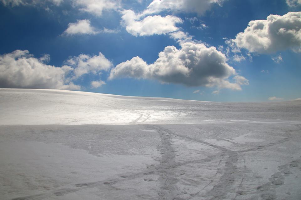 17362898_431631437172289_8726429495056829774_n