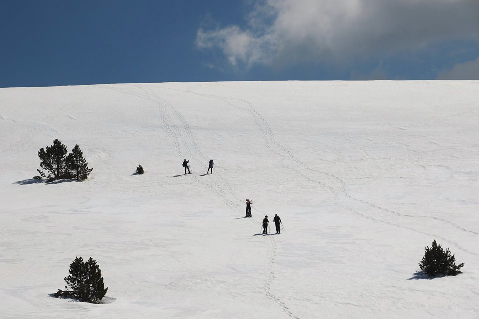 17424927_431631080505658_1423135479877887478_n