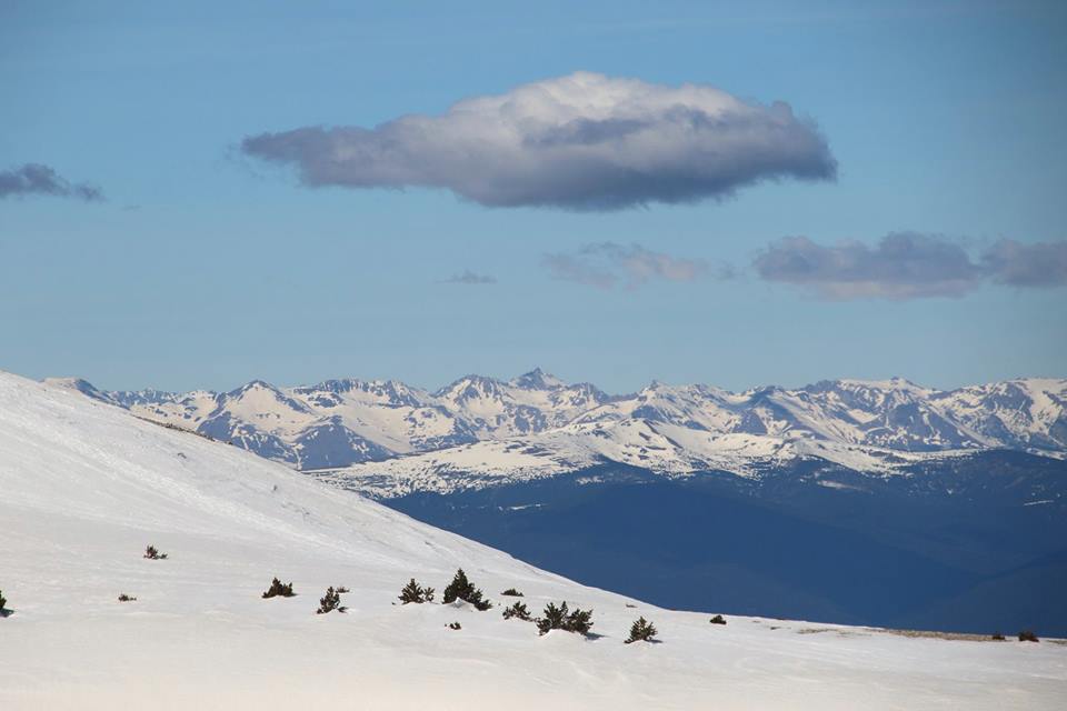 17424976_431630567172376_1410068941445698707_n