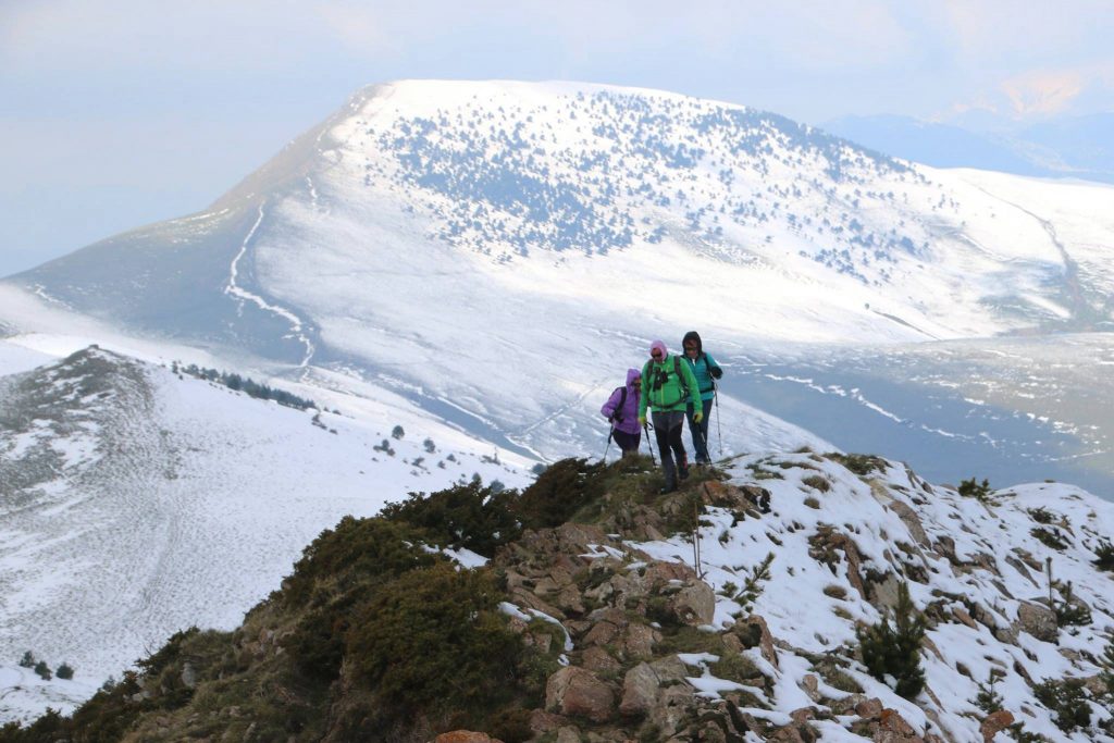 18237920_453692654966167_4286612695941226877_o