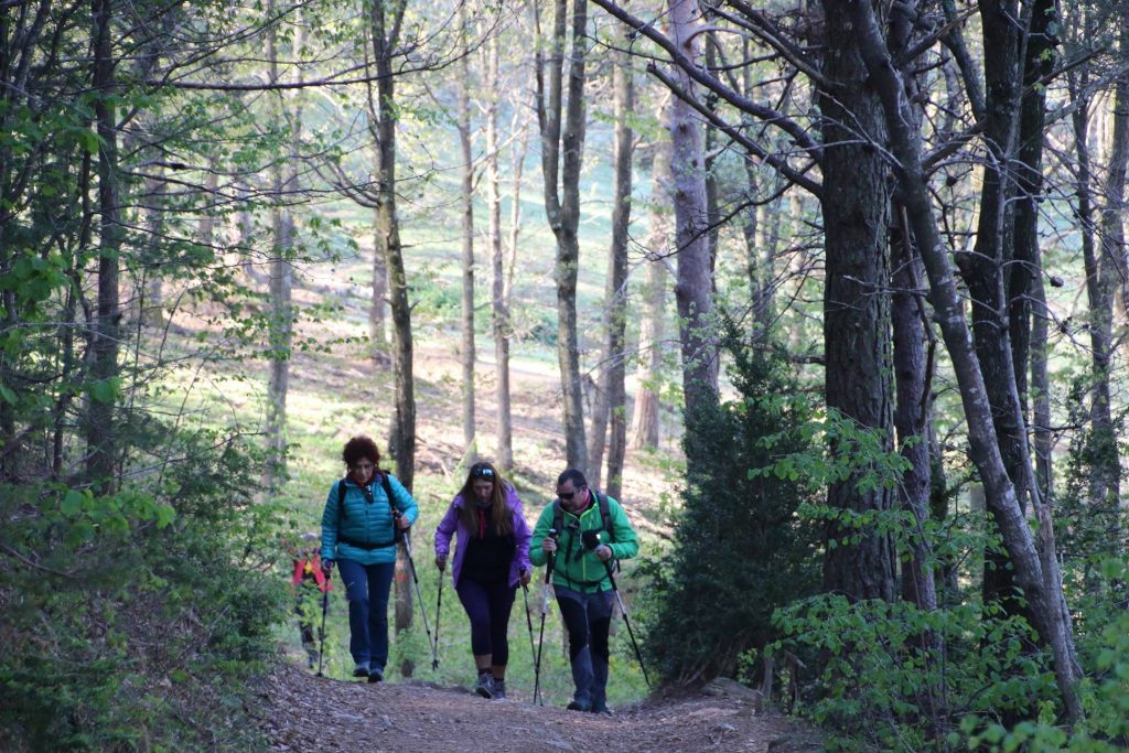 18238191_453691334966299_992877069714881423_o