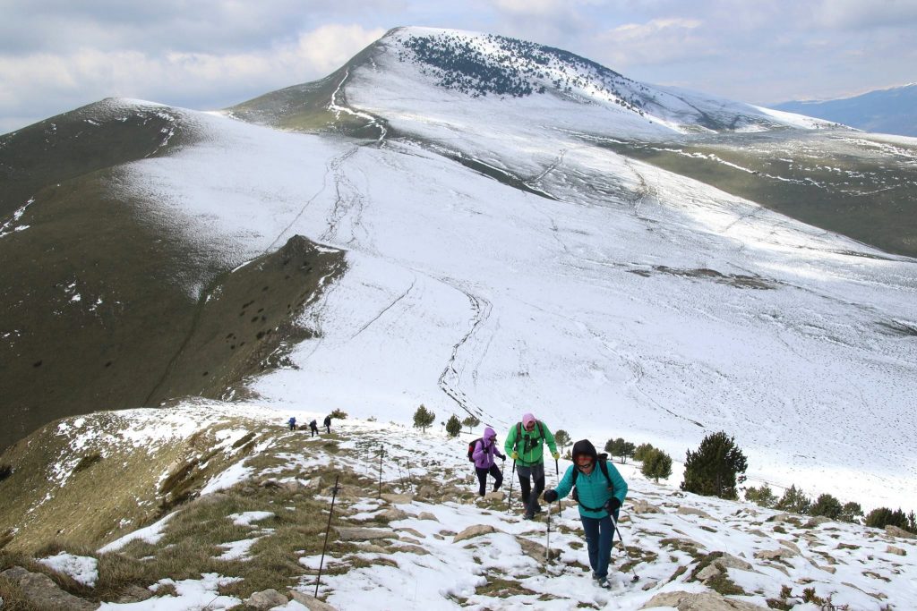 18238584_453692361632863_3297641300871737633_o