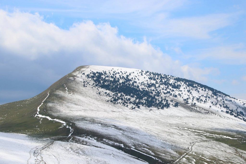 18238618_453691271632972_659606099039020093_o