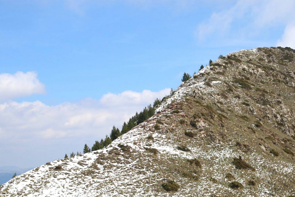 18278373_453692661632833_664503335721366861_o