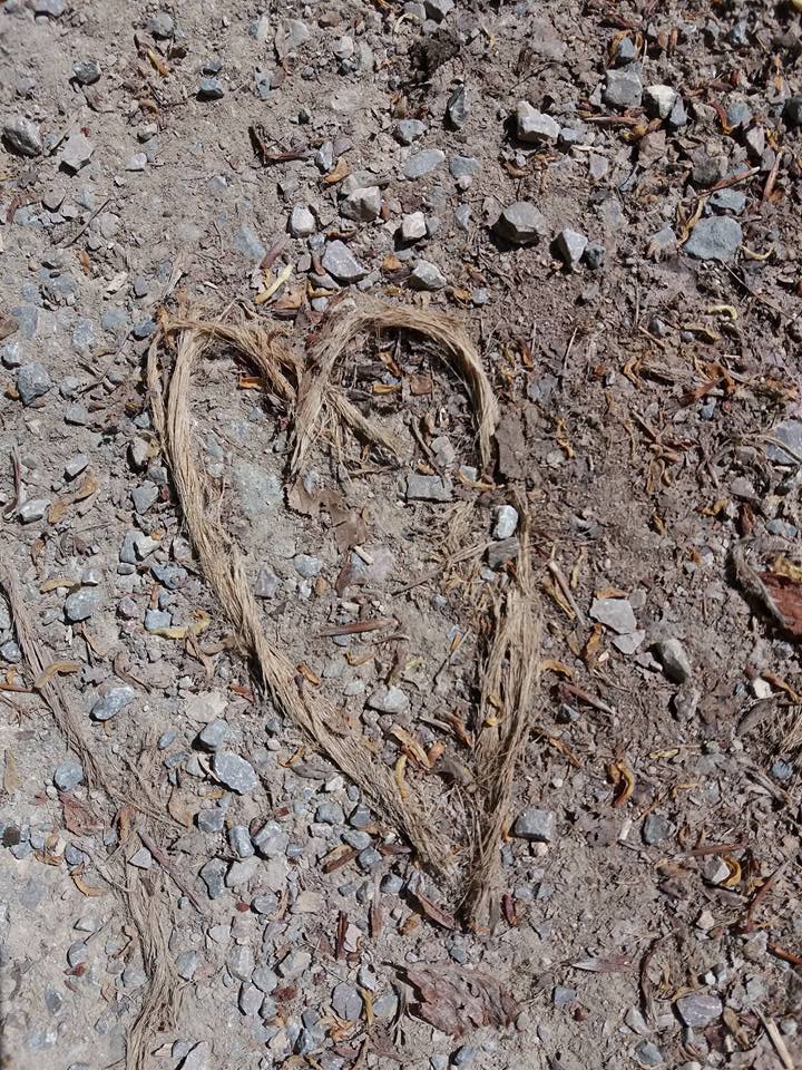 18424997_10210581487706252_3628508538424410066_n