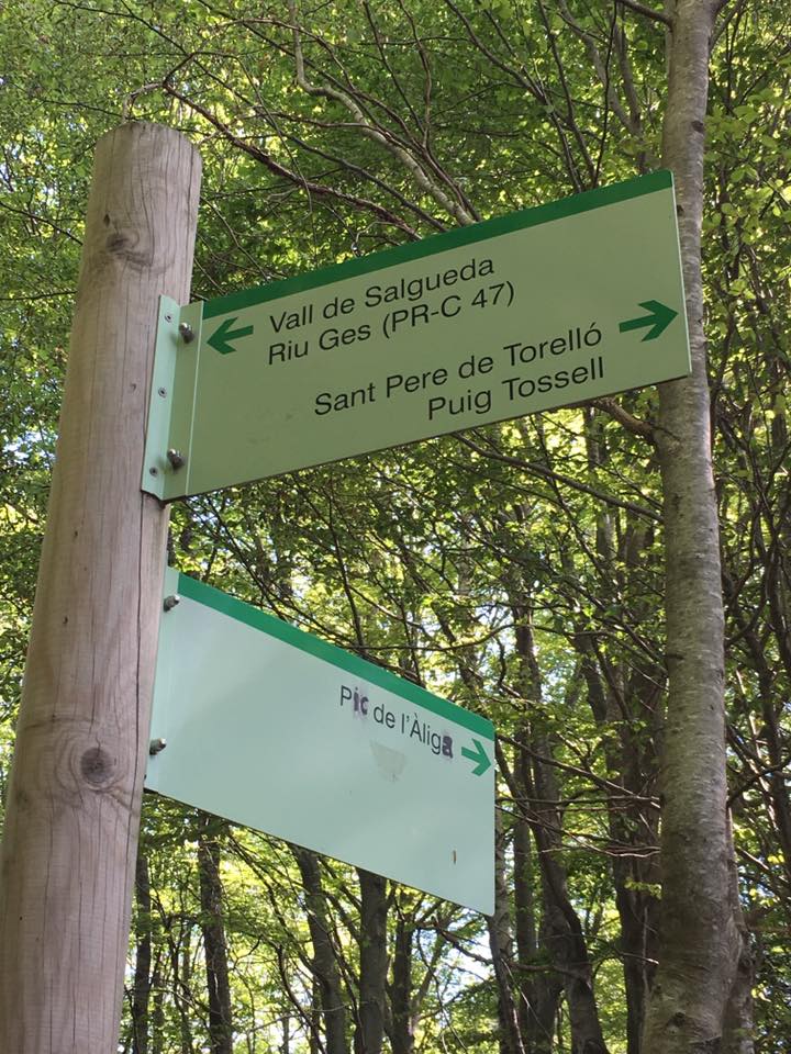 18446709_10213202275996639_7909798567553181957_n