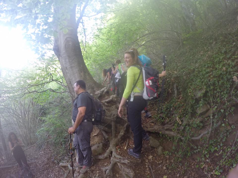 18446844_1416819618382571_6758562755588681521_n