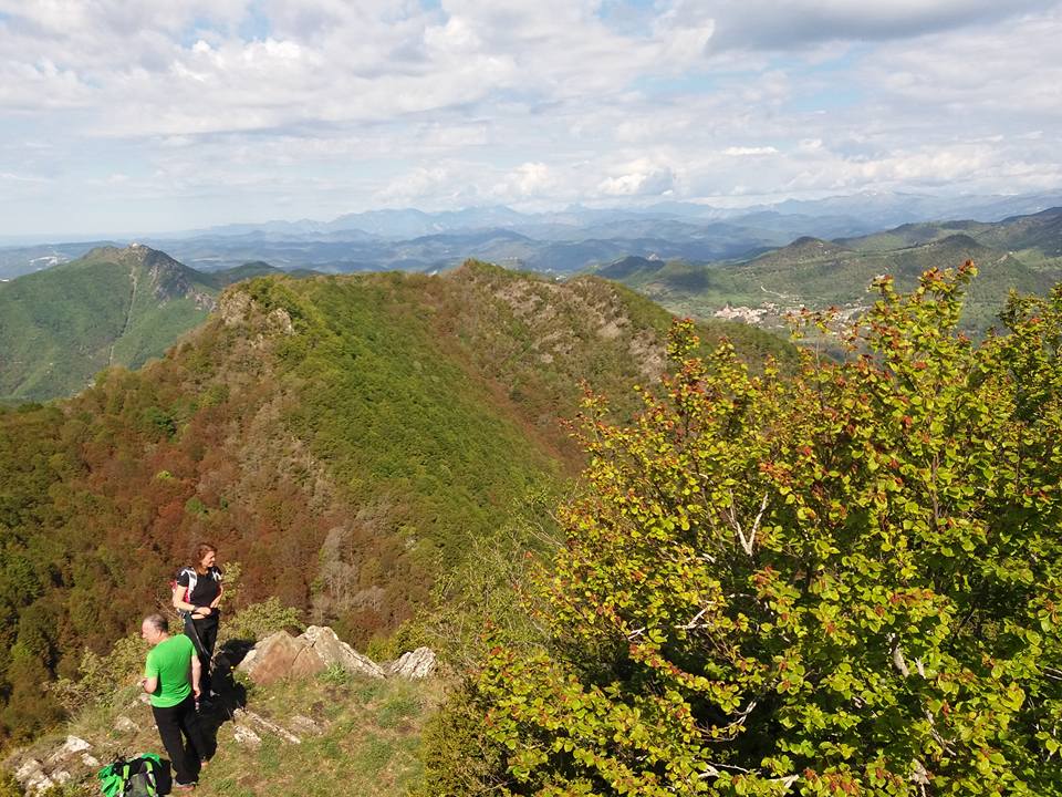 18485533_10210581481506097_7152279974445724394_n