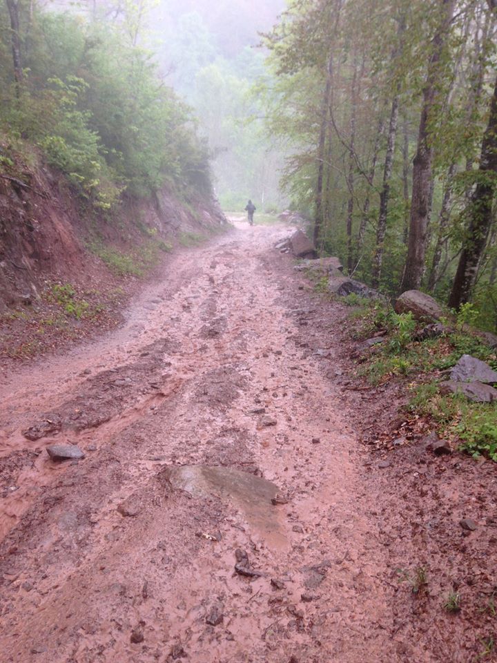 18485650_1785731308406140_969941179649916812_n