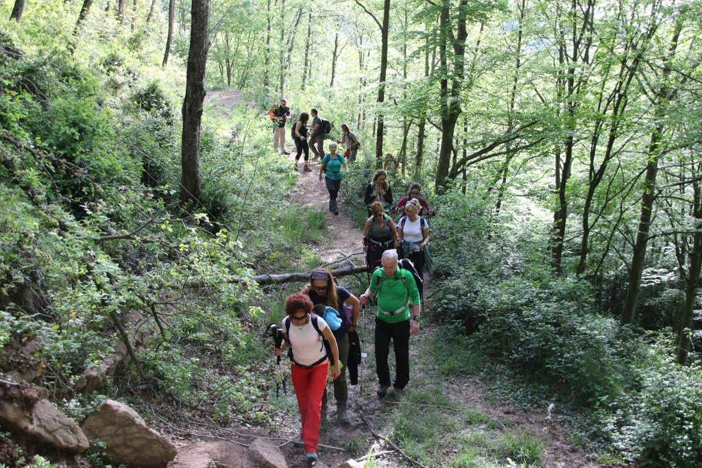 18518032_461590307509735_2305134482878446608_o