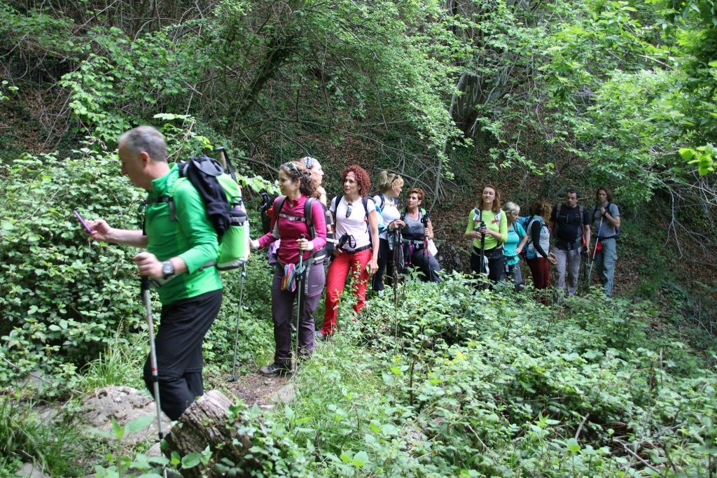 18518189_461590270843072_1784888539551830783_o