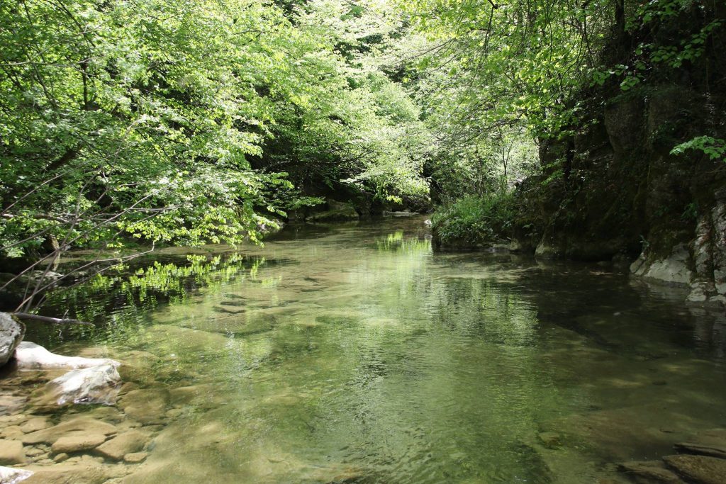 18527349_461591297509636_1900709183102664104_o