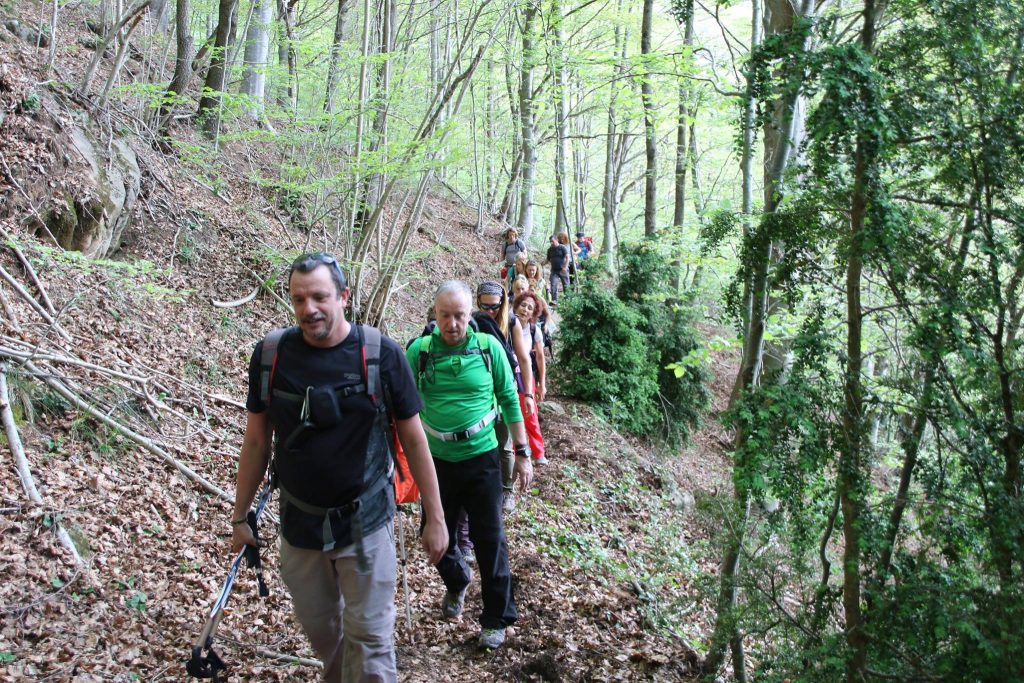 18556816_461590464176386_1528753559736939864_o