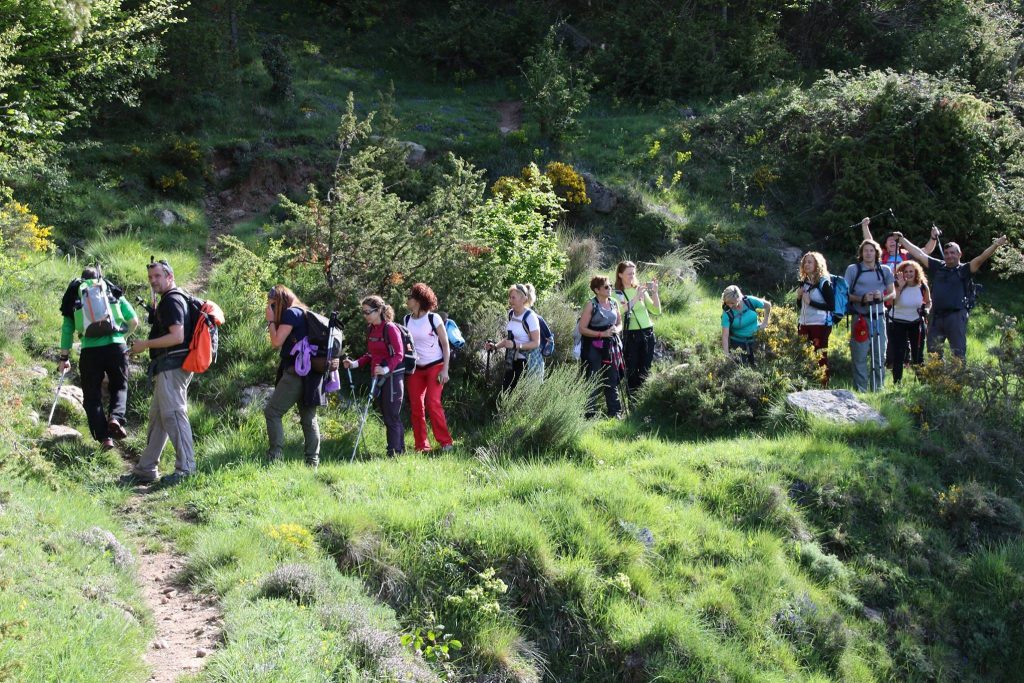 18558581_461590460843053_2240518712316735669_o