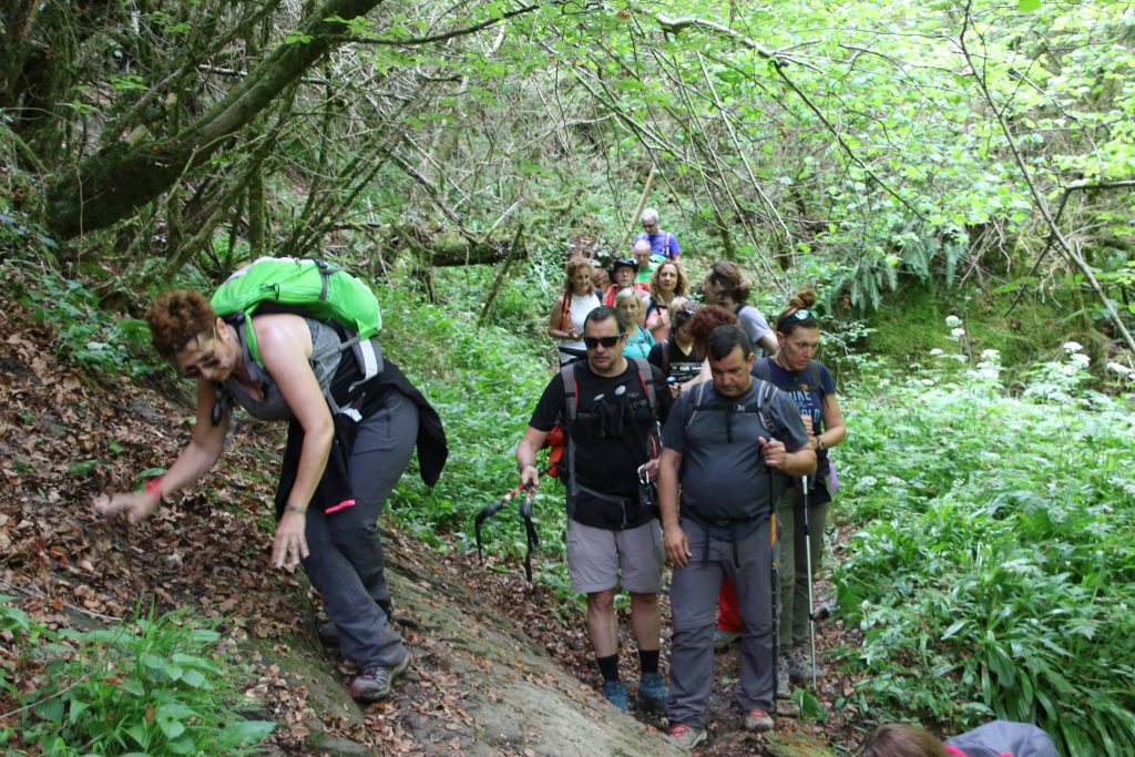 18558645_461577307511035_5192629449384475624_o