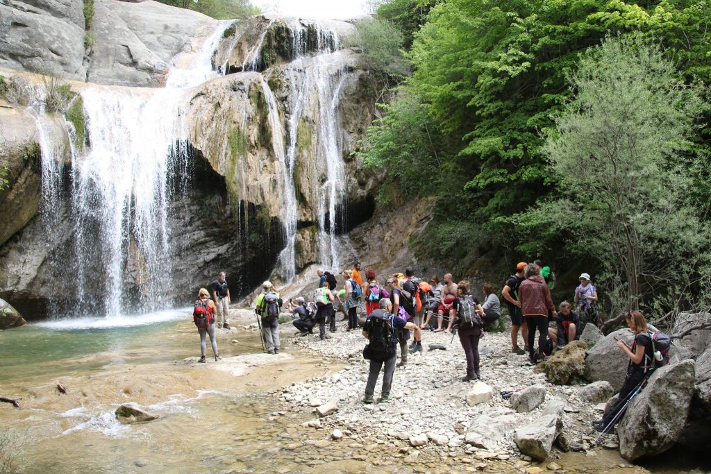 18558998_461591294176303_4701538998519236459_o