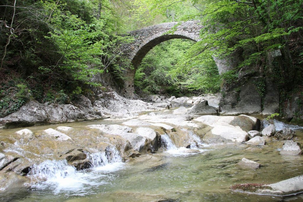 18588730_461591507509615_3497549358703197104_o