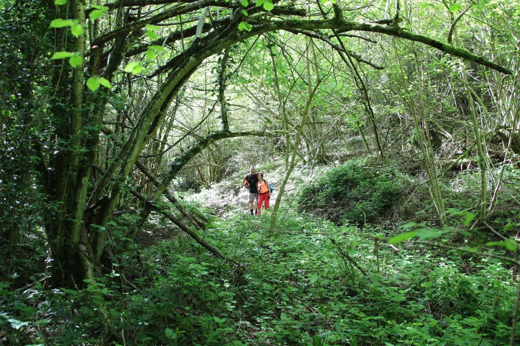 18589058_461577240844375_5982391868368038931_o