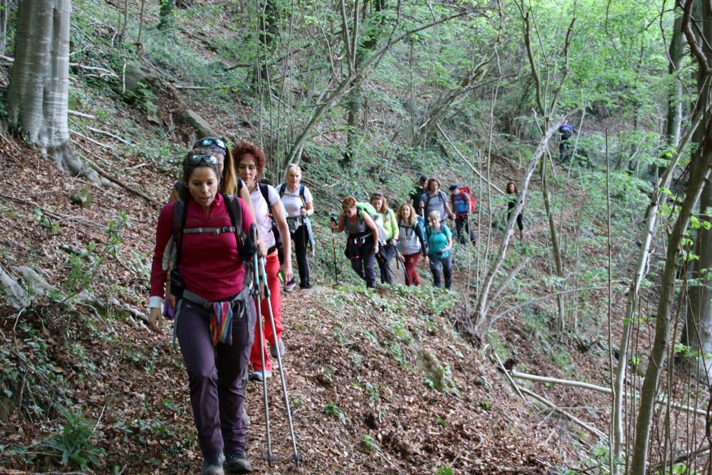 18595169_461590330843066_8987587995329639105_o