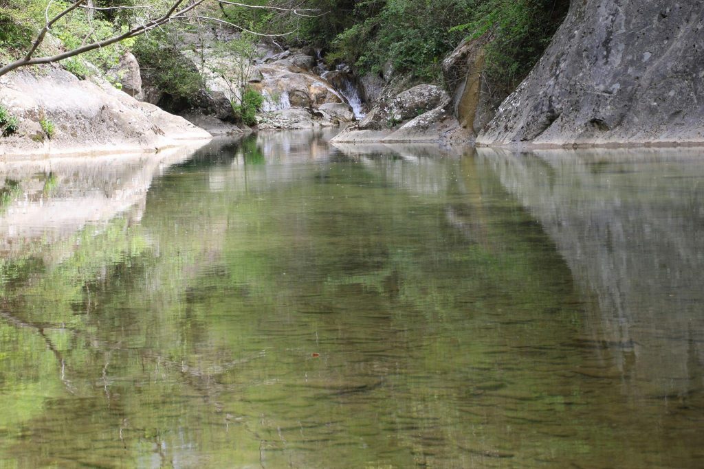 18620728_461591244176308_5285589584991774175_o