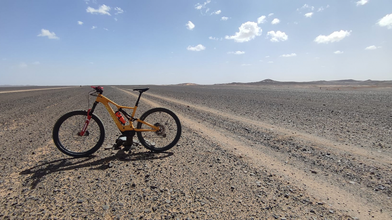 311460736_5736330359764787_6227227548117365343_n